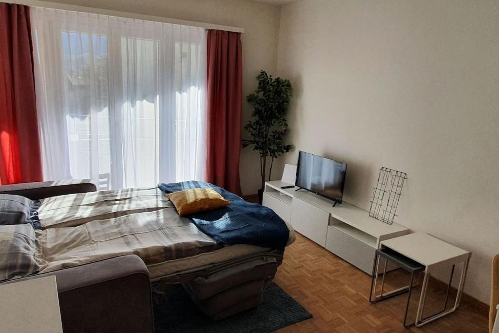 Apartment Via San Carlo In Muralto-Locarno Buitenkant foto